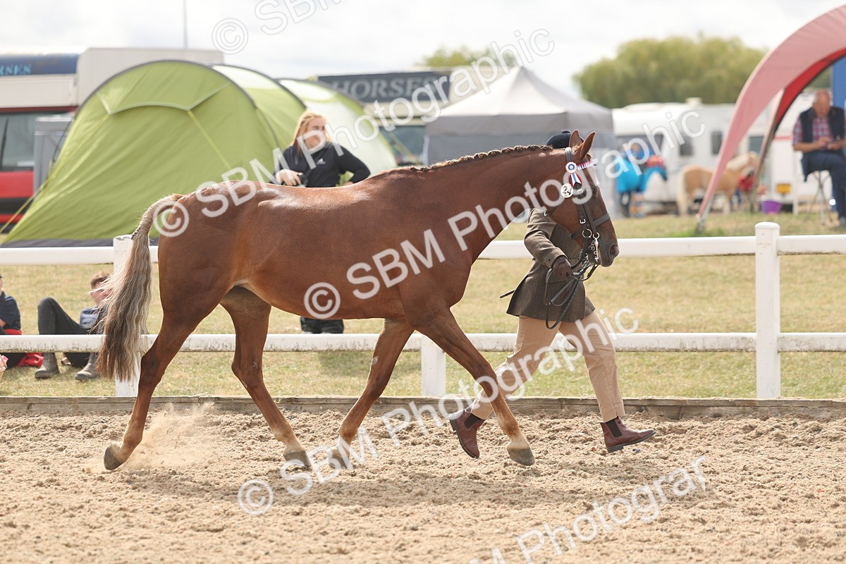 SBM_04917 - Class 20 - IH Veteran