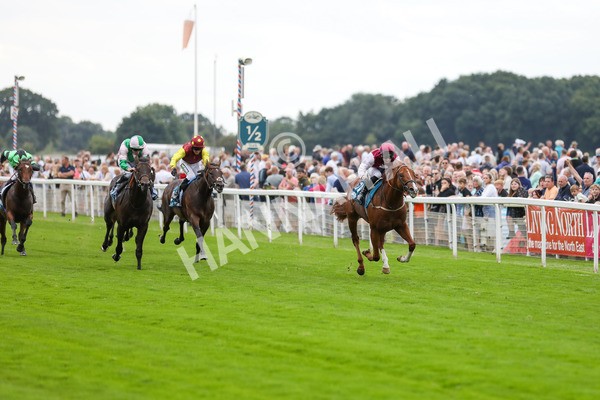 230823-Race 7-Zoulu Chief-4603 - Race 7 5.20pm Sky Bet Nursery Handicap