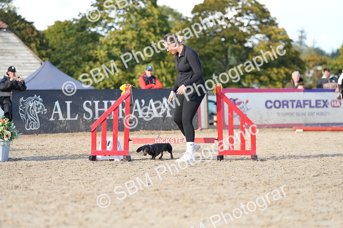 SBM_29036 - J43 - Horse & Hound Open 50cm