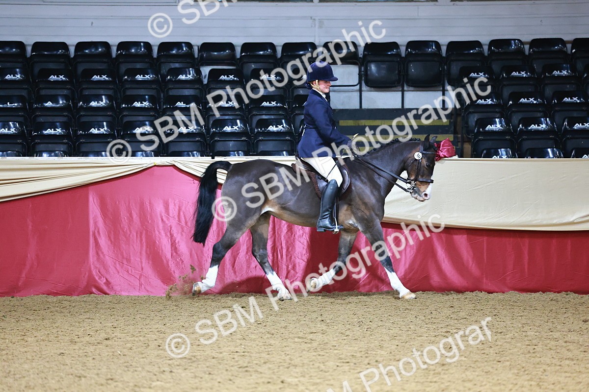 SBM_23455 - Class 904 - Supreme Final - Ridden Diamond