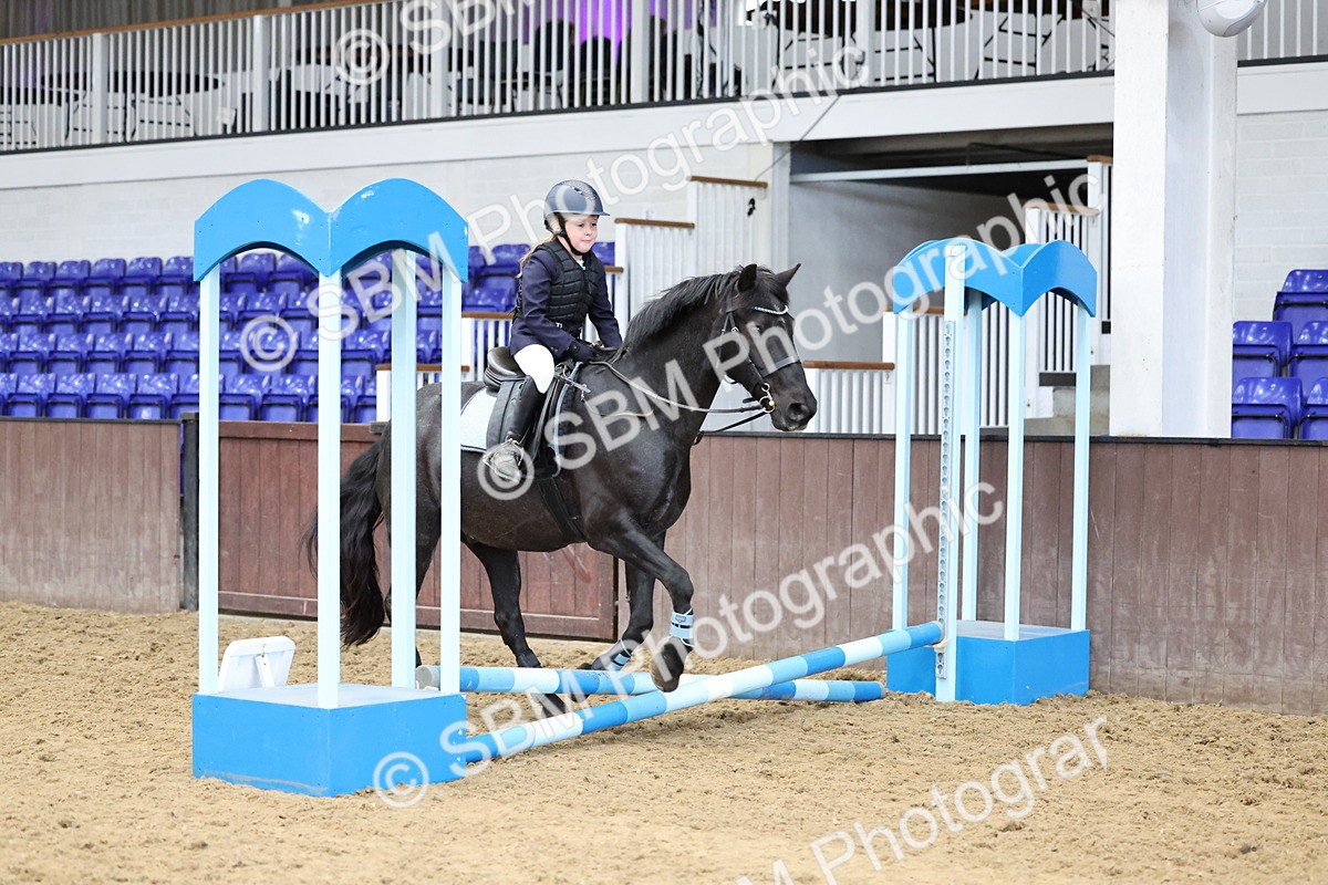 SBM_006890 - Class 1 - 40cm showjumping