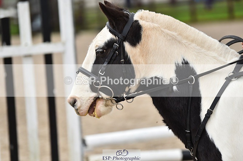 231210-112038-00384 - Cls 3 50cm