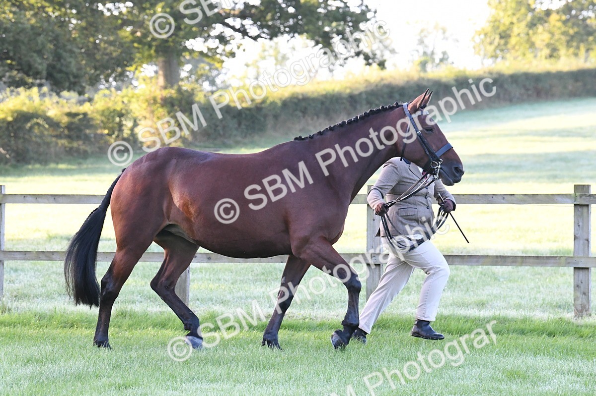 SBM_32537 - S15 - Condition & Turnout In Hand