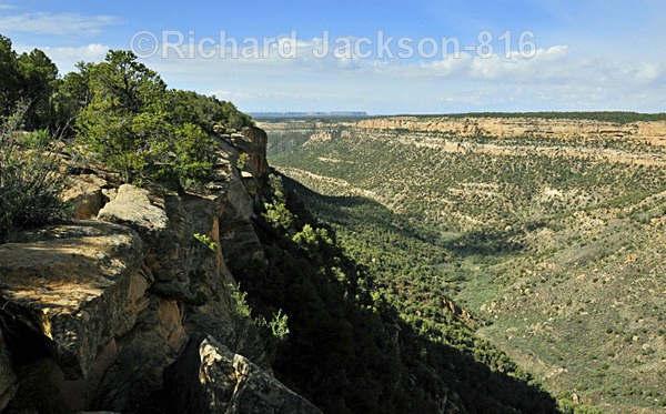 Cliff Canyon - Mesa Verde National Park