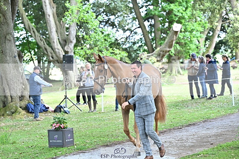 250521A-165558-01411 - C-273-Tim.Cheffings-HEARSAY.LARK.RISING