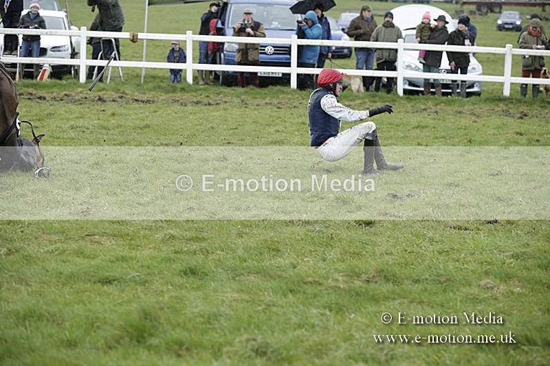 PtP 150320 0360 - New Forest Point-to-Point Larkhill 15/03/20
