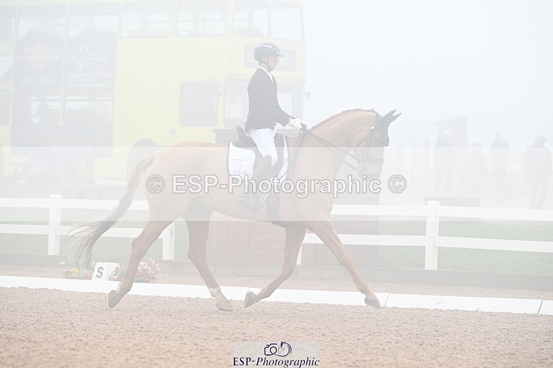 240217A-131129-02765 - 271-Tom.Carter-Rubin.Regal