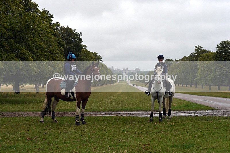 TT3_8121 - Time at Crossing 09:15 to 10:15