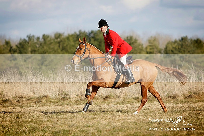 Eq 51 - Equestrian