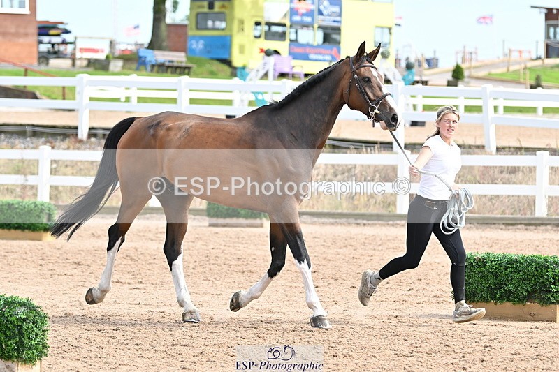 240717A-161958-03413 - Trot Up 4pm to 5pm