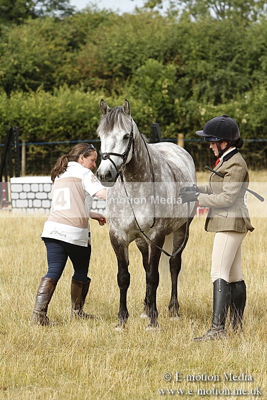 _BS_0575 - BVRC Show 2018 Ring 3