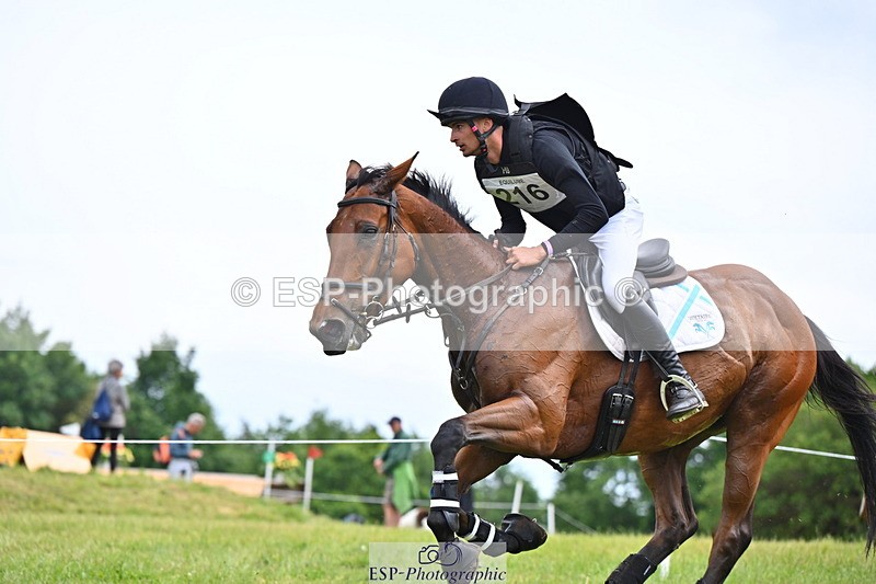 250524A-150202-13949 - C-216-Harrison.Chart-MY.KIND.OF.LADY