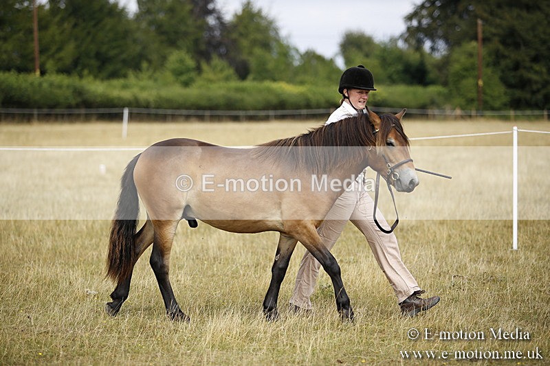 _C7A9622 - BVRC Sow 2018 Ring 2