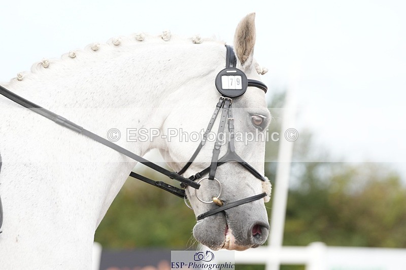 250906-112014-01977 - 079-Sophie.ClarkBallydaniel.Jack