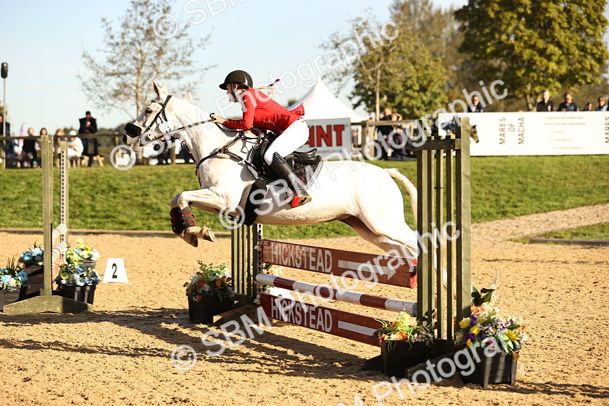 SBM_34690 - J38 - Senior 80cm Championship