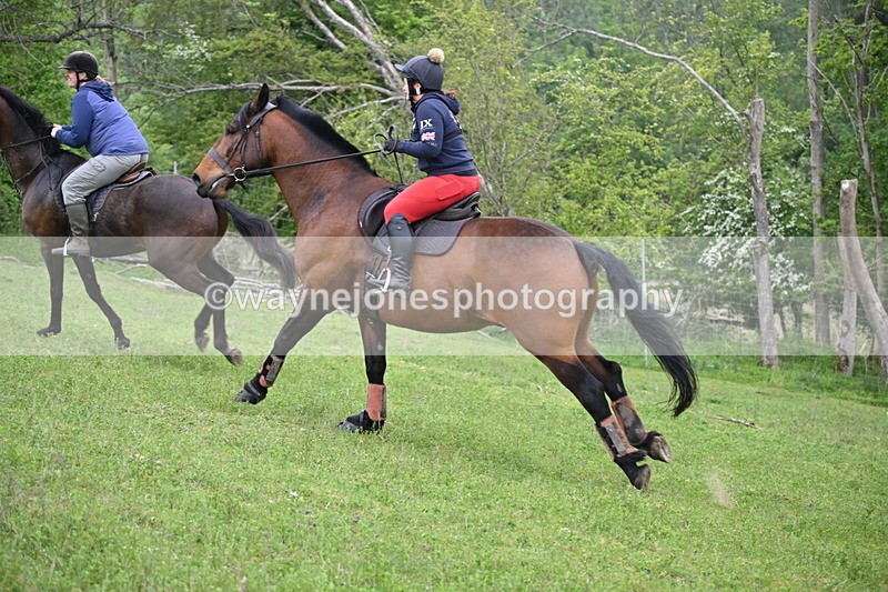 WJ6_2537 - A Camera