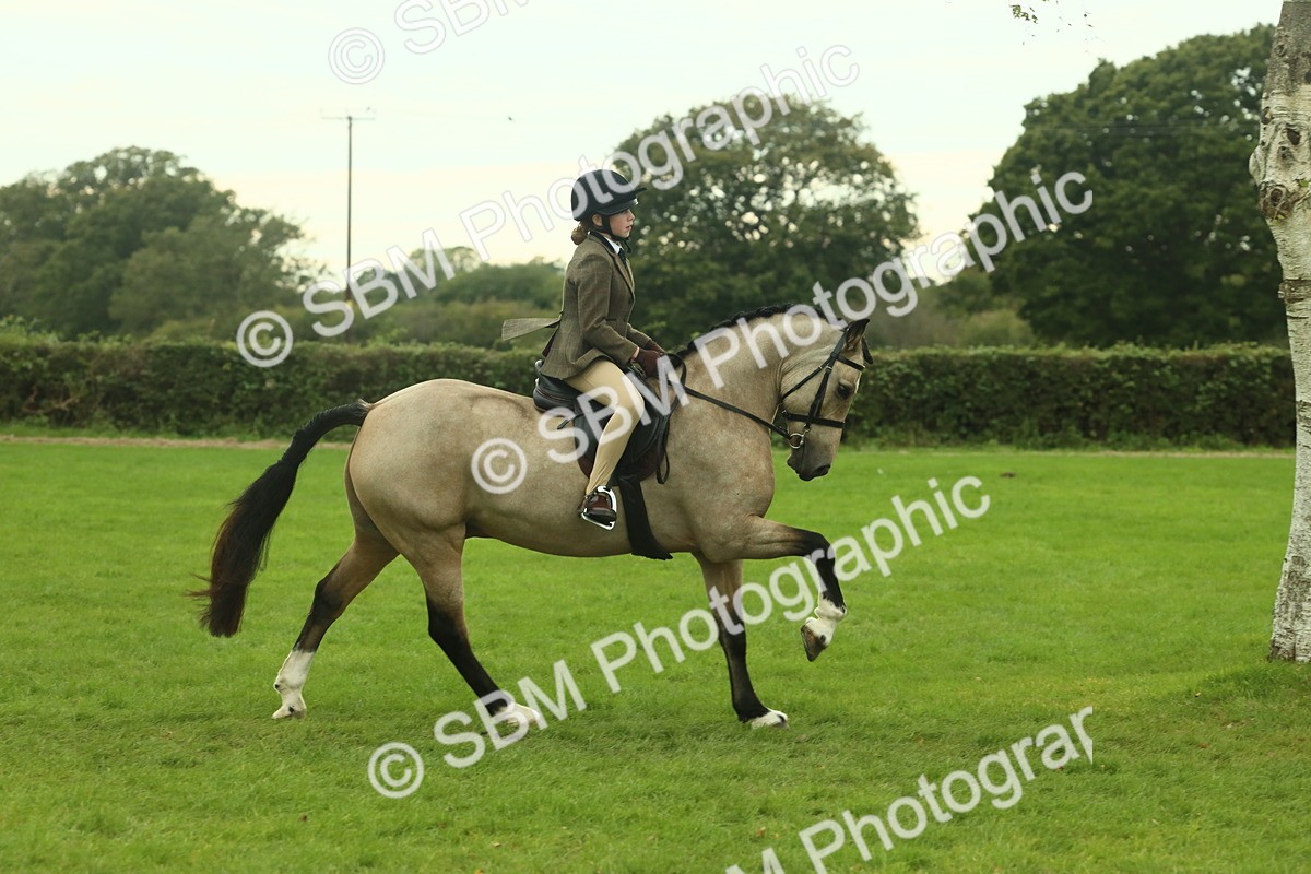 SBM_73937 - S 61 - Show Pony & Show Hunter Pony Ridden