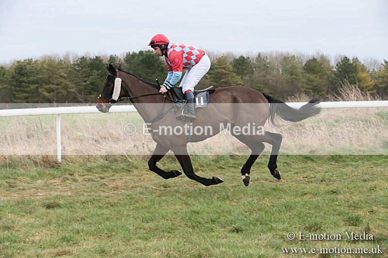 PtP 060119 232 - Larkhill Racing Club - Point-to-Point- 06/01/2019