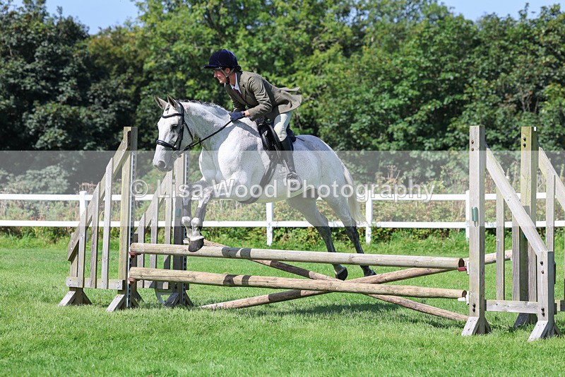 3E7A8574 - Class 5: Working Show Horse