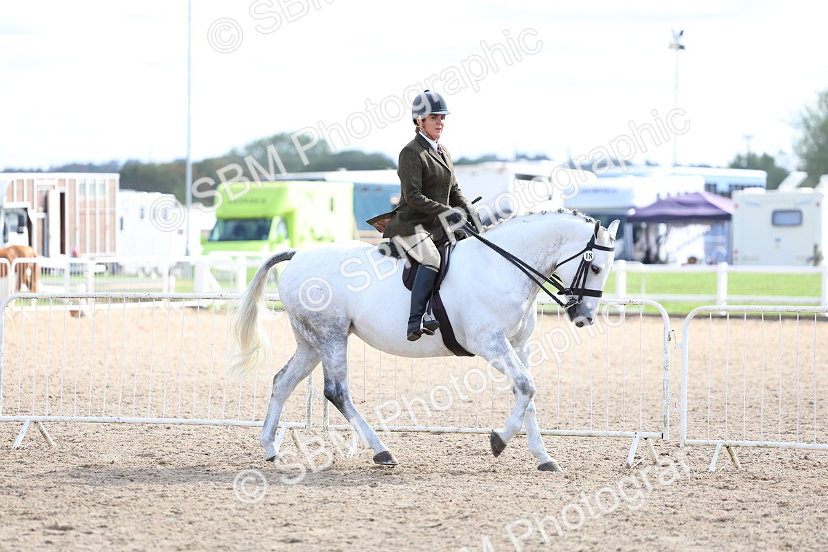 SBM_17123 - Class 315 - Best Horse - Rider Combination