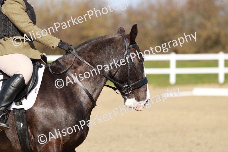 20260314-2855 - DR3 - Prelim 1