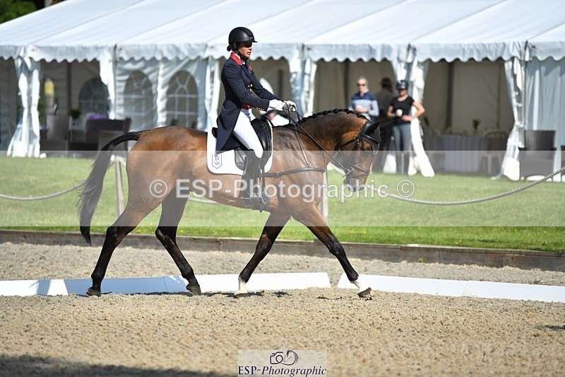 230525-092519-01597 - 305-BARRINGTON_57-Izzy_Taylor-WEDTrotUp+DR