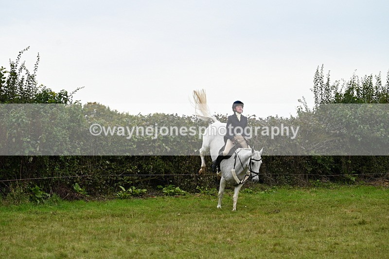 WJ7_4080 - Camera 1 Line 2