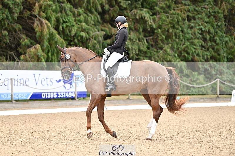 250808A-103134-00333 - 024-Daisy.Hedges-Felicia.V