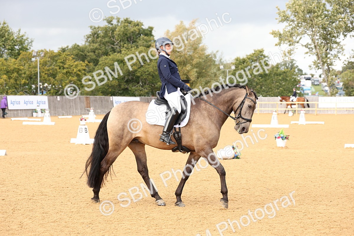 SBM_26928 - D17 - Grand Tour Championship Novice 3