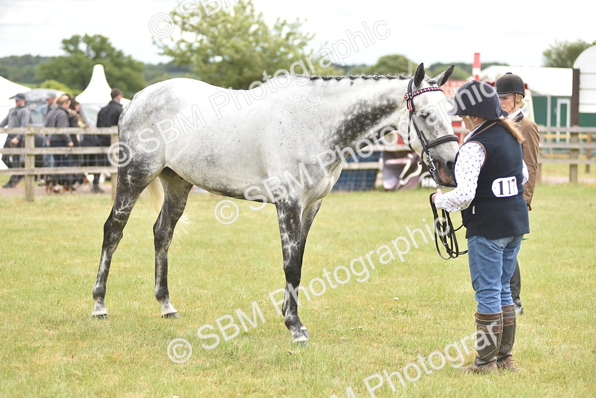 SBM_14289 - Class 113-114 - Retraining of Racehorses Ridden