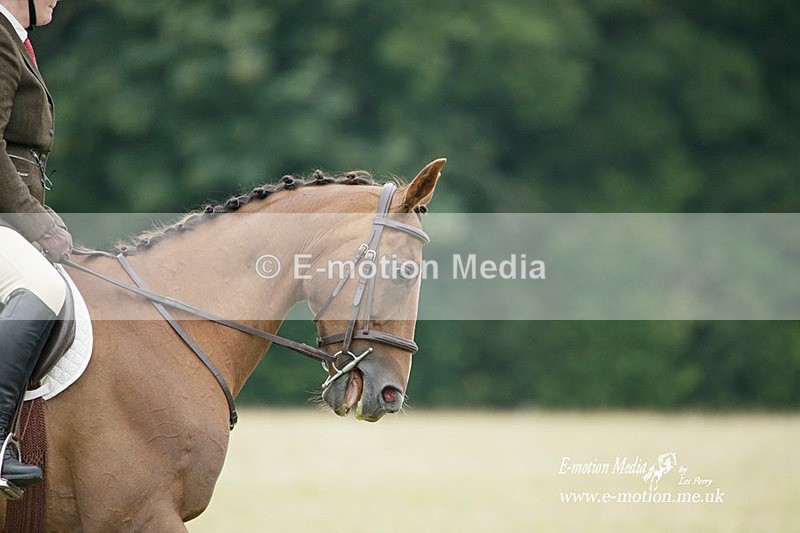 BVRC 030721 288 - Bourne Valley Riding Club Dressage 03/07/21