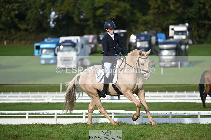 251024A-151117-13984 - E-395-Rolline.OCallaghan