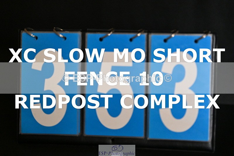 ESP_353 - D-353-Anne-Marie.Spalding