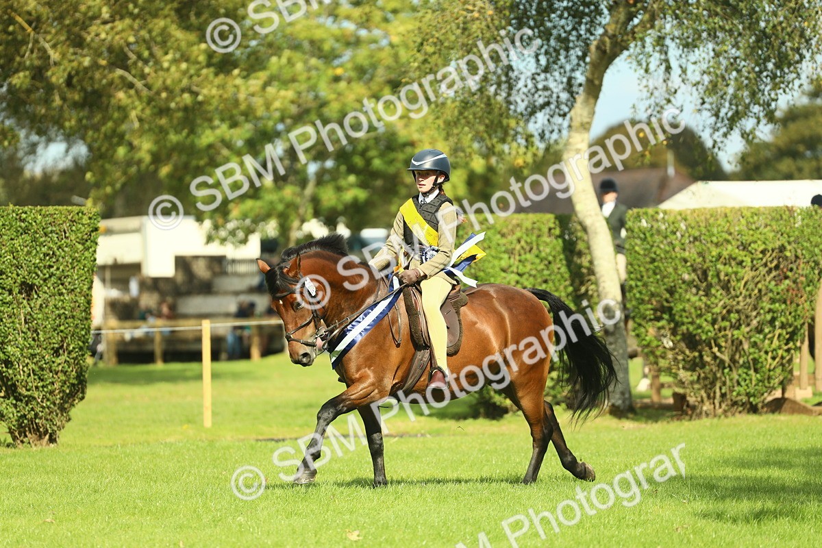 SBM_45032 - Working Hunter Pony Supreme Championship