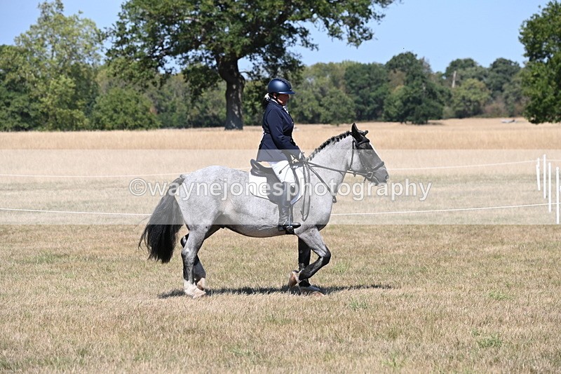 WJ6_8783 - Class 38 Ridden Riding Horse/Pony