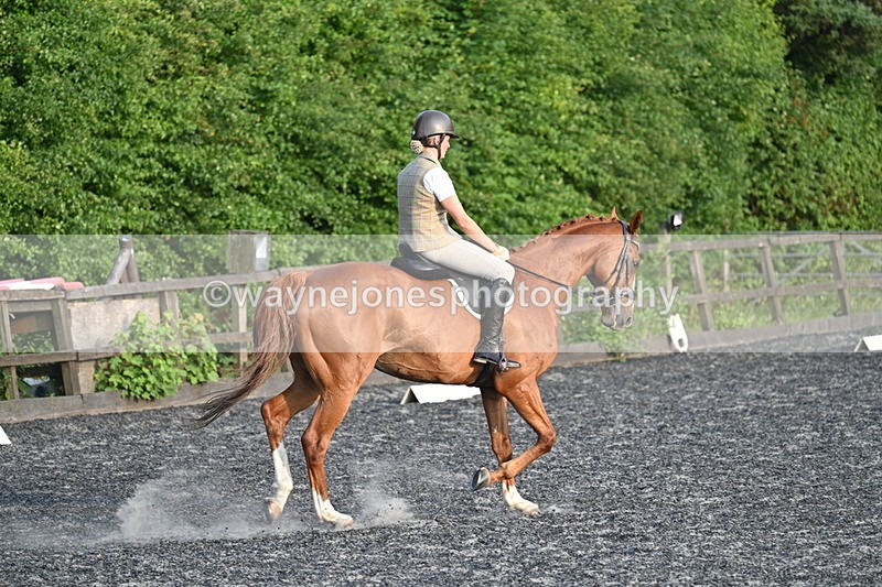 WJ7_0376 - Time 19:38 to 20:00