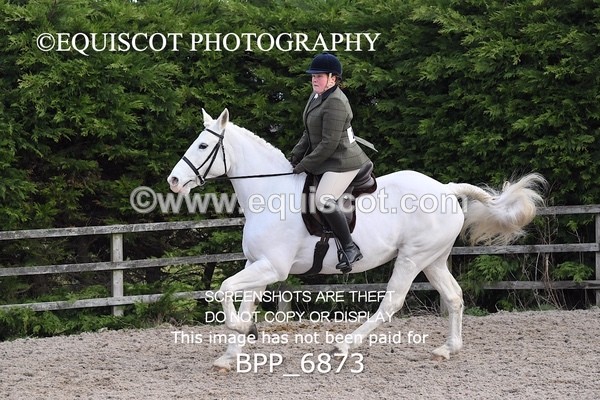 BPP_6873 - RING 1  (RIDDEN HORSES / IN HAND / VETERAN ETC)
