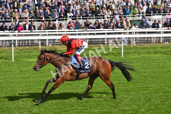 yr11052022r4-38 - Race 4 3.35pm Tattersalls Musidora Stakes
