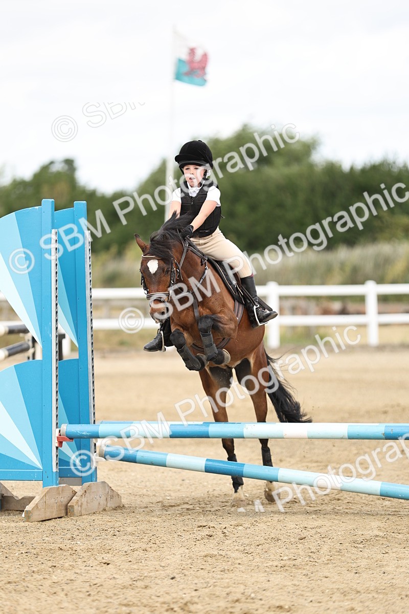SBM_004775 - 70cm showjumping