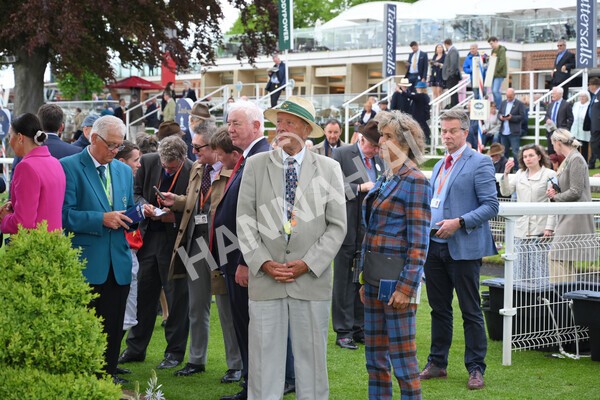 yr11052022r3-49 - Race 3 3.00pm 1895 Duke of York Clipper Logistics Stakes