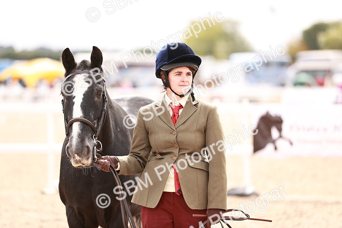 SBM_16326 - Class 413 - Best Condition - Adult