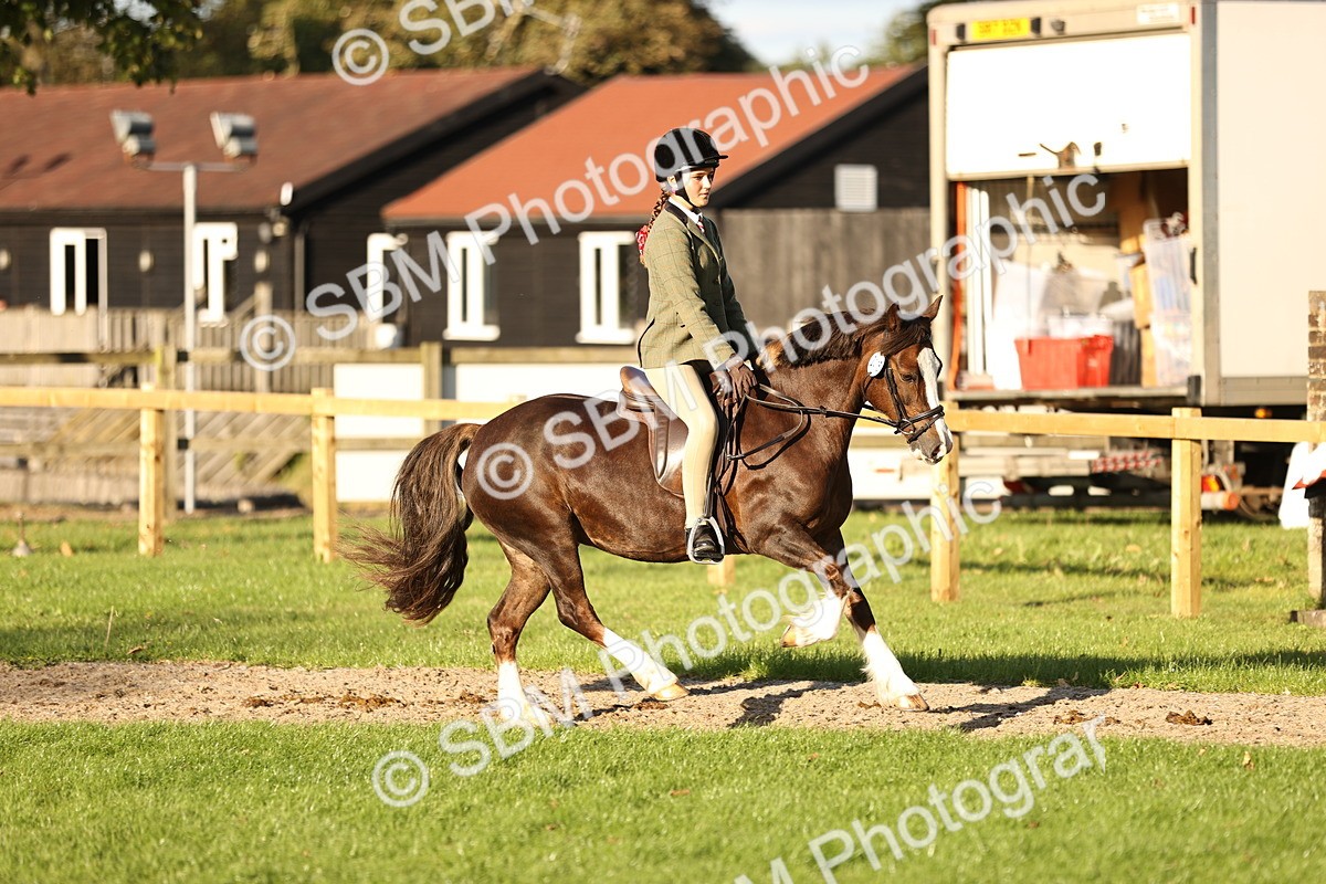 SBM_29605 - S7 - Novice & Newcomers Ridden Pony