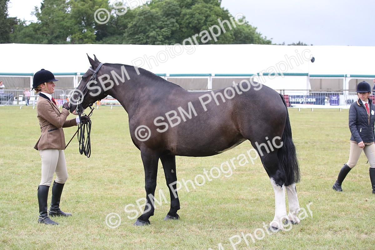 SBM_11261 - Class 92-93 - LIHS BSHA Rising Star Cobs