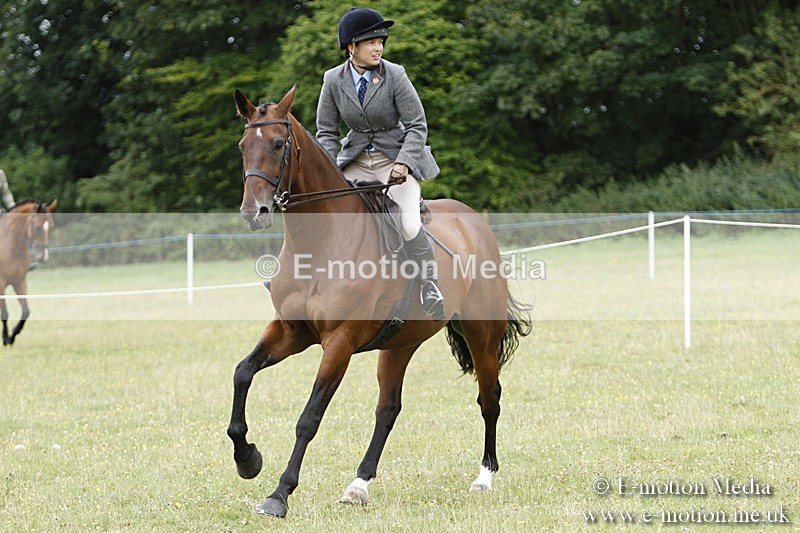 BVR160717-1703 - Ring 3 BVRC Show 16/07/17