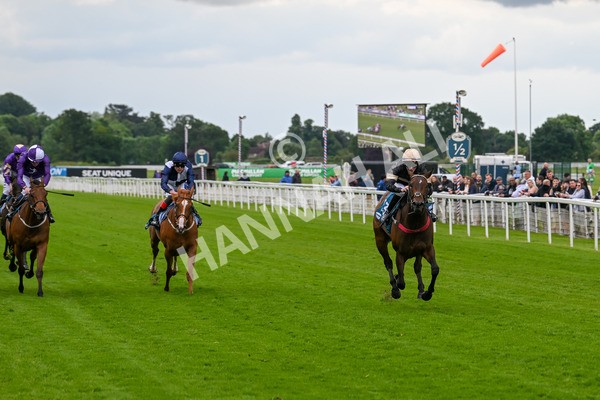 140624-Race 3-Alfa Kellenic-4298 - Race 3 3.00pm British EBF Supporting Racing With Pride Fillies' Handicap