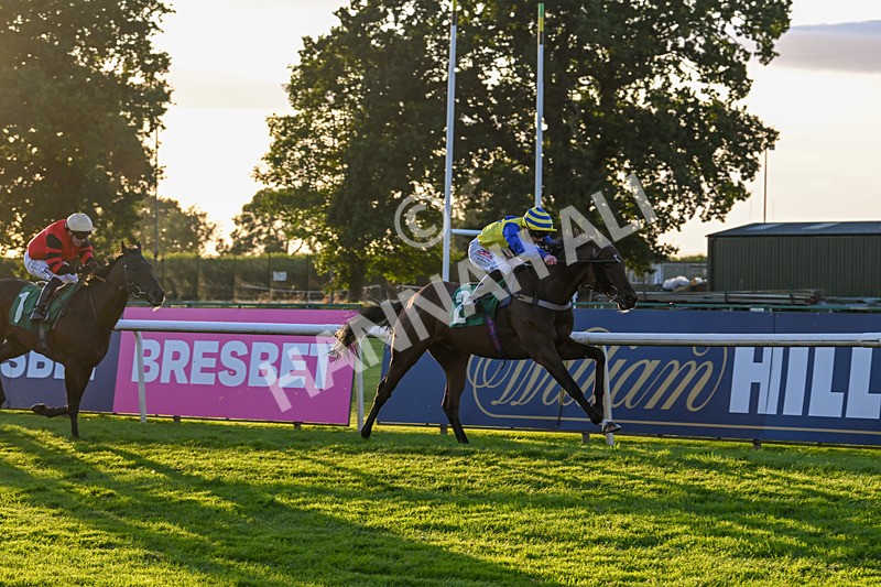 160824-Race 6-Smart Vision-9798 - Race 6