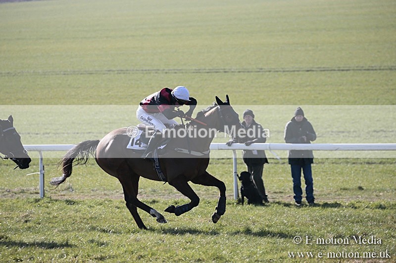PtP 240218 59 - Vine & Craven Hunt Point-to-Point Barbury racecourse 24/02/18