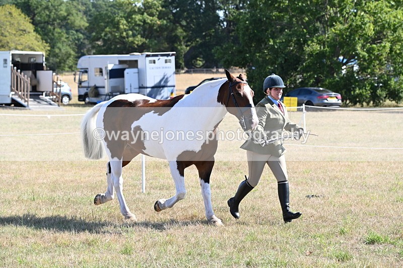 WJ6_4226 - Class 16 Condition & Turn Out