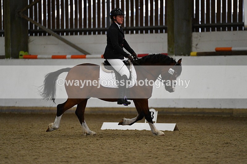 WJ5_7315 - Class 2 Intro Test 2