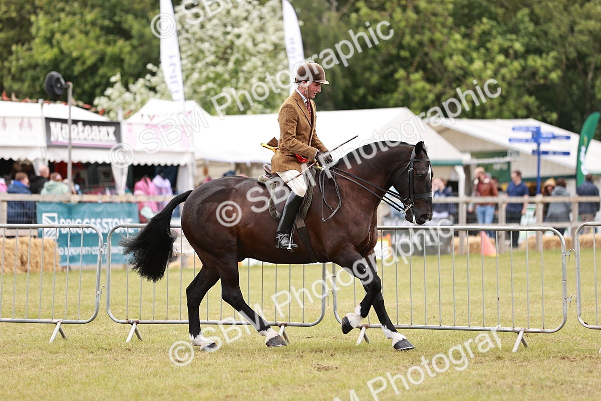 SBM_14102 - Class 85-87 - RIHS Cobs